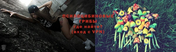 молекула духа Красноперекопск
