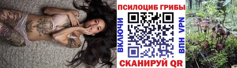 Купить  Ардон  Псилоцибиновые грибы Psilocybine cubensis 